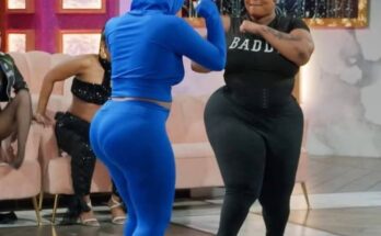 Ivori vs The Big Three